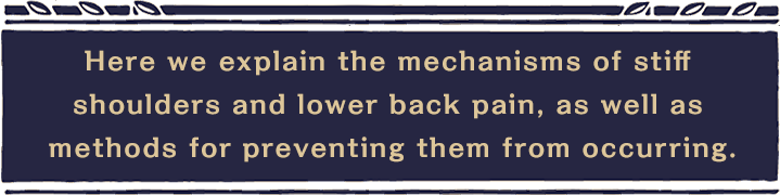 Here we explain the mechanisms of stiff shoulders and lower back pain, as well as methods for preventing them from occurring.